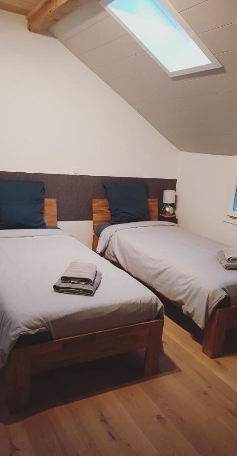 Hotel Bnb Logis Des Saules Saint-Ursanne Exterior foto